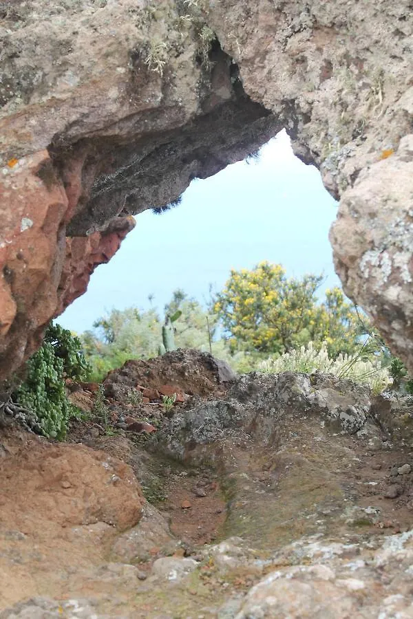 Welcome To Discover The Magic Amazing Tenerife !! Private Bath Nice Breakast Wf :) Candelaria