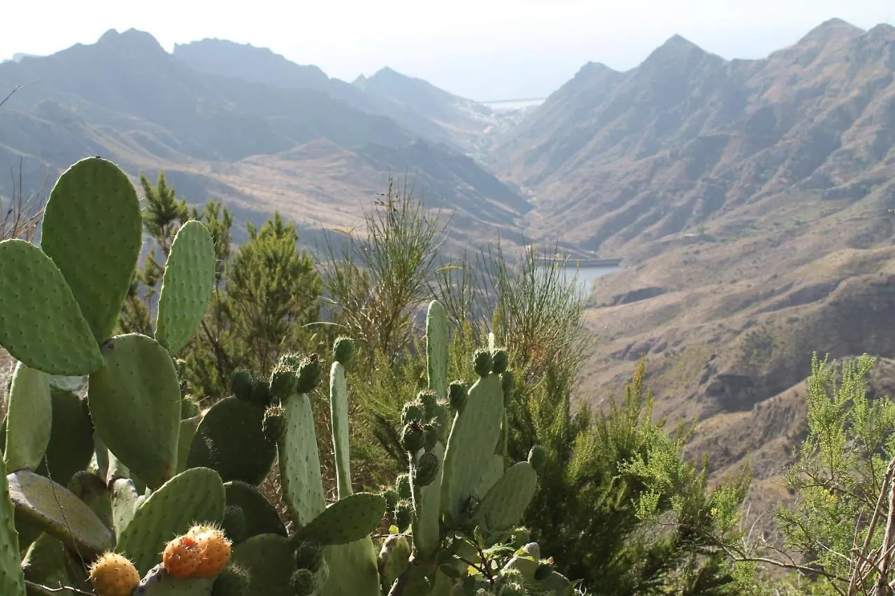 Welcome To Discover The Magic Amazing Tenerife !! Private Bath Nice Breakast Wf :) Candelaria