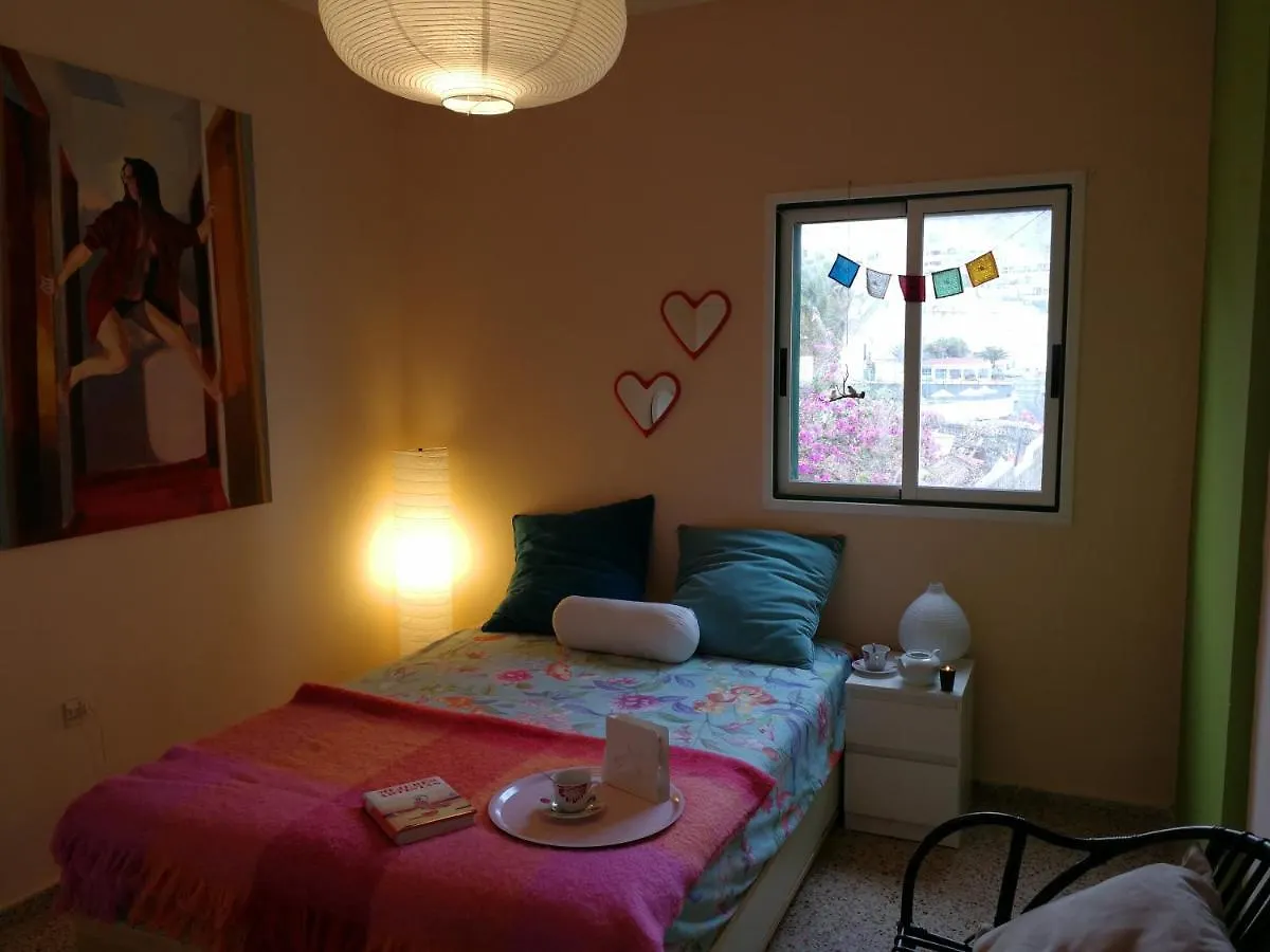 Guest house Welcome To Discover The Magic Amazing Tenerife !! Private Bath Nice Breakast Wf :) Candelaria Spain